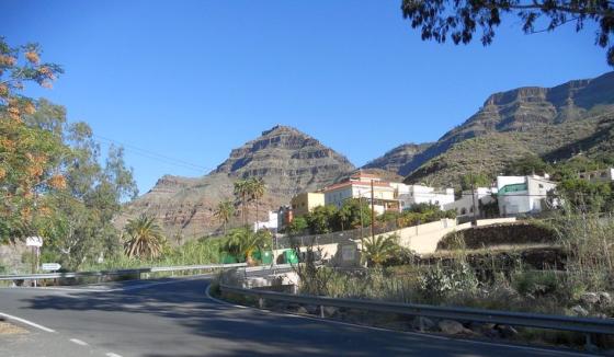 Cercados de Espino Arguineguín gran canaria 