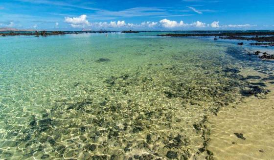Lanzarote Caleton Blanco