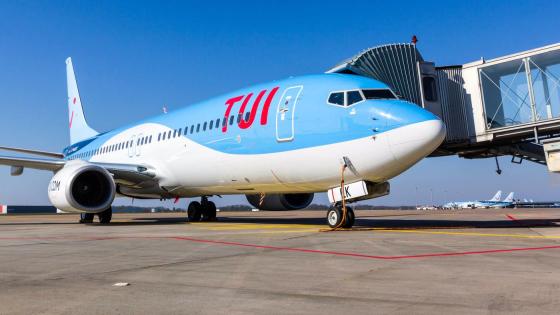 Fly TUI