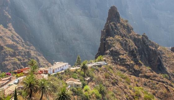 Parque Rural de Teno, Tenerife.