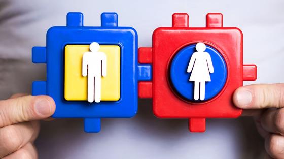 Likestillingslov med obligatorisk kjønnskvotering i offentlig og privat næringsliv innføres i Spania.