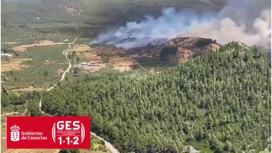 skogbrann tenerife 28.juli