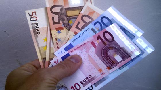 Hånd holder eurosedler.