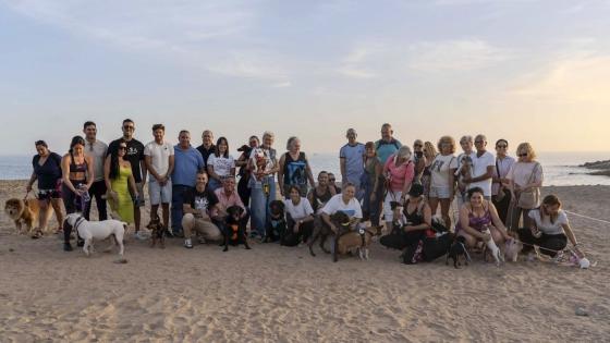 Hundestrand el perchel mogan  230226