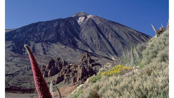 Parque Nacional del Teide 