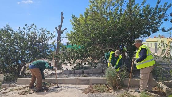 Rydding av planteavfall