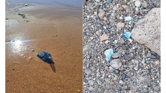 Portugisisk krigsskip på strand.