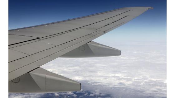 Flyvinge, blå himmel og skyer.