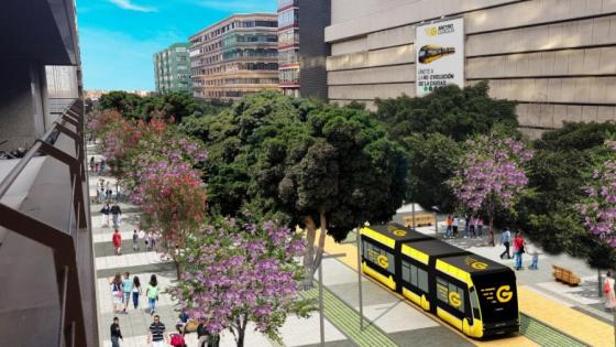 Metroguagua Las Palmas.