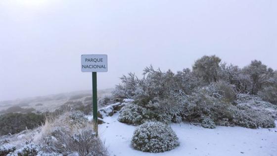 Snø i nasjonalparken på Tenerife.