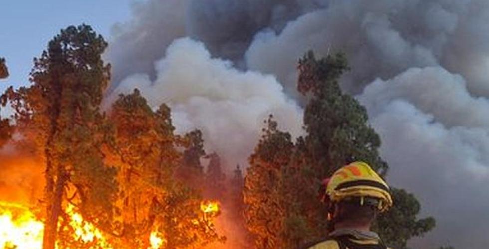 Brannkonstabel på La Palma foran skogbrann