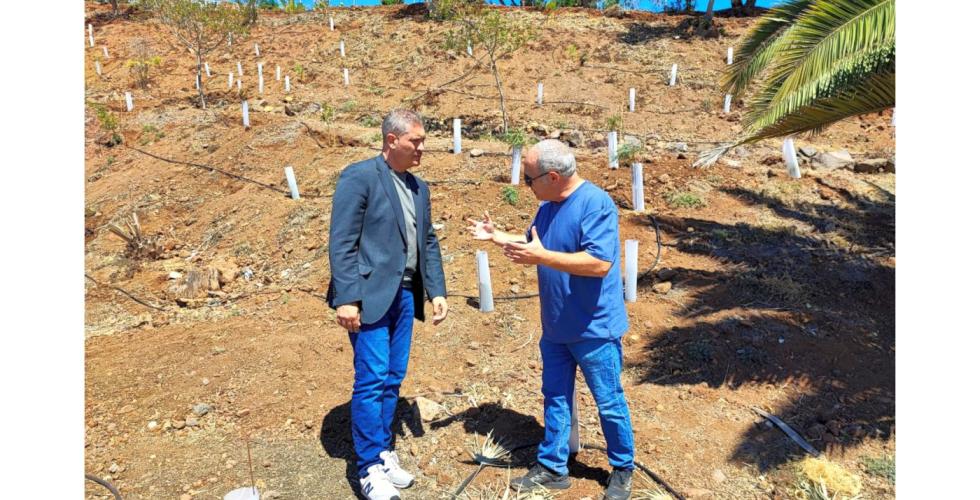 Kommunalråd i La Laguna Fran Hernández