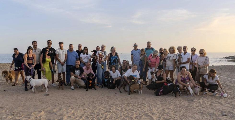 Hundestrand el perchel mogan  230226