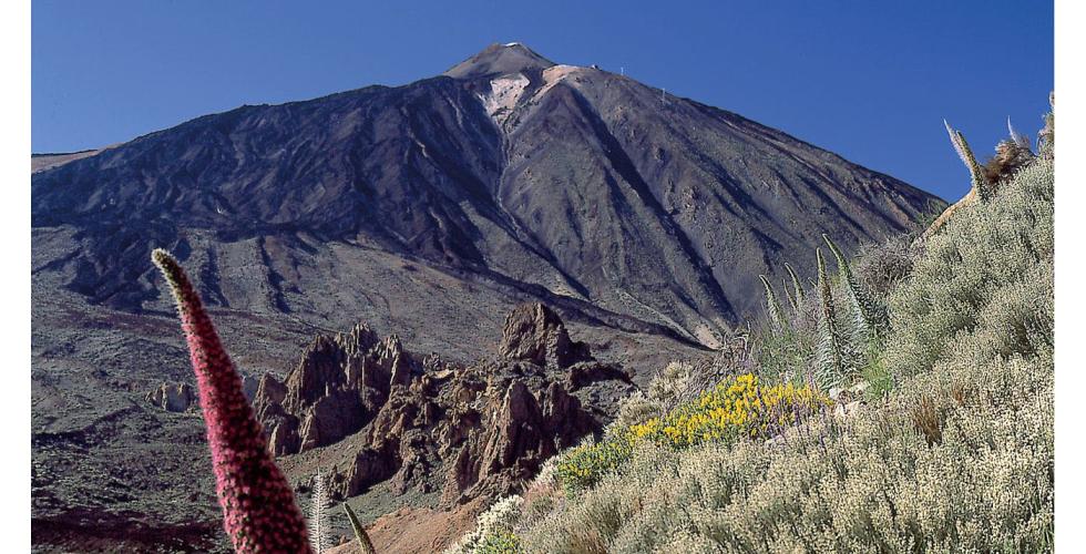 Parque Nacional del Teide 