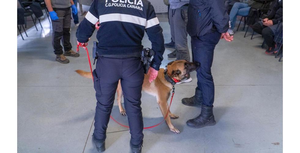 hundefører og hund på kurs