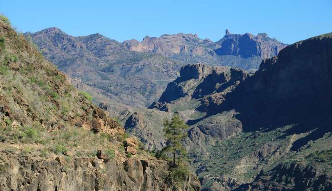 Utsikt mot Roque Nublo. Foto: Frifot Forlag