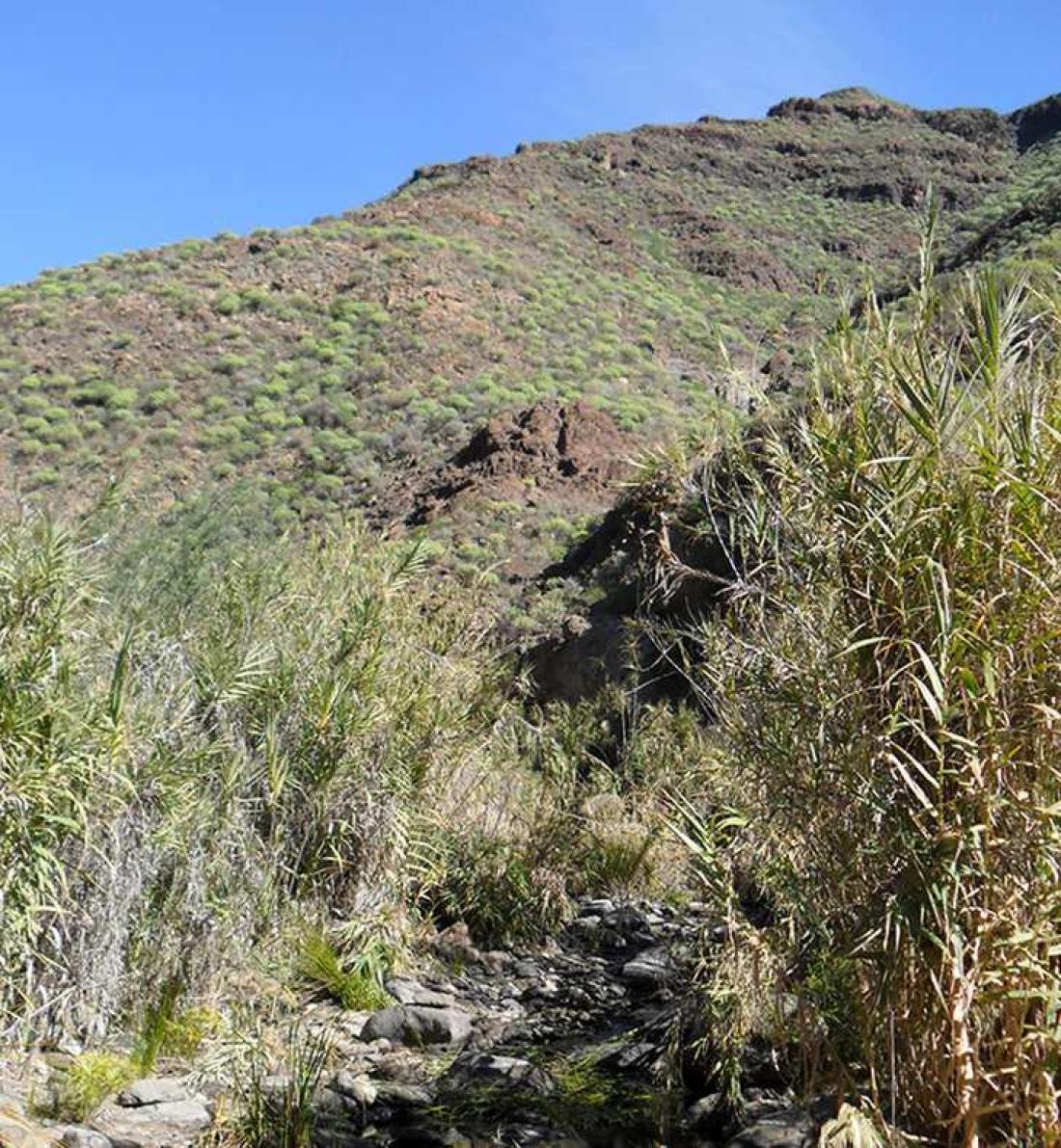 Barranco Tauro. Foto: Frifot Forlag