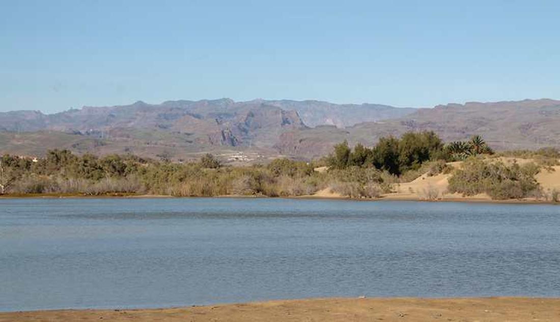 Utløp ved vannkanal, Maspalomas