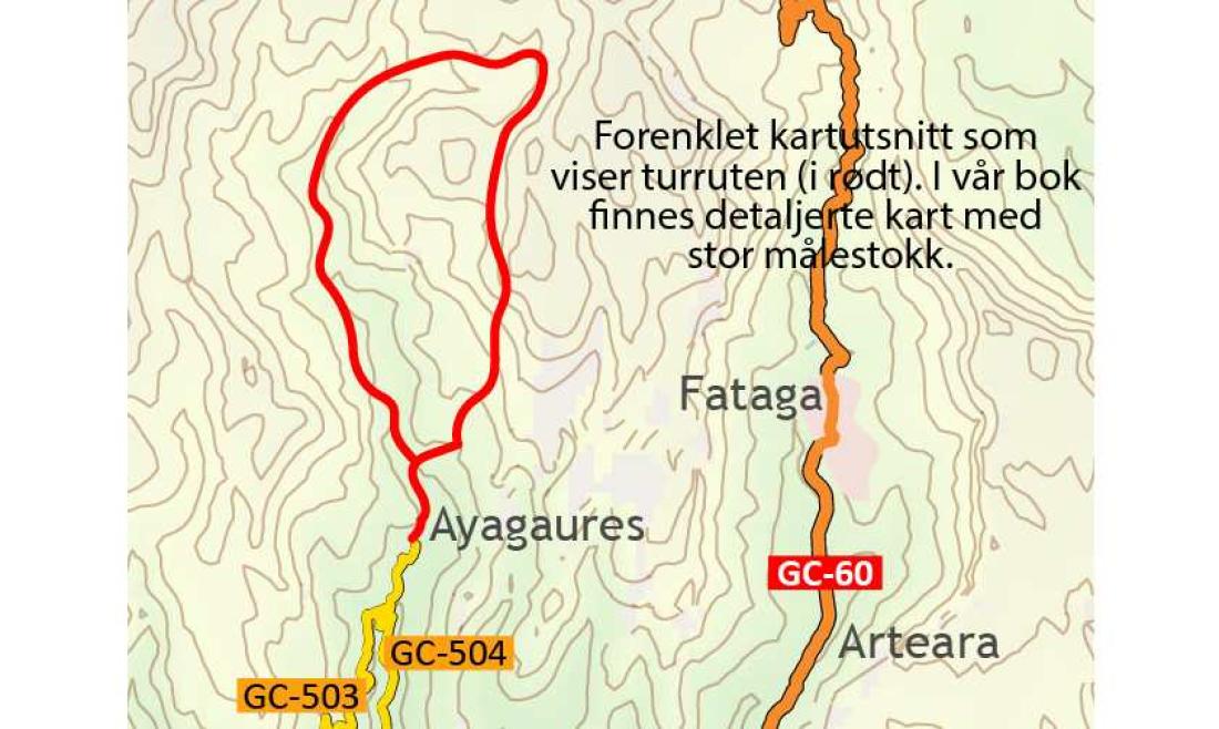 Fottur i Barranco de Pilancones