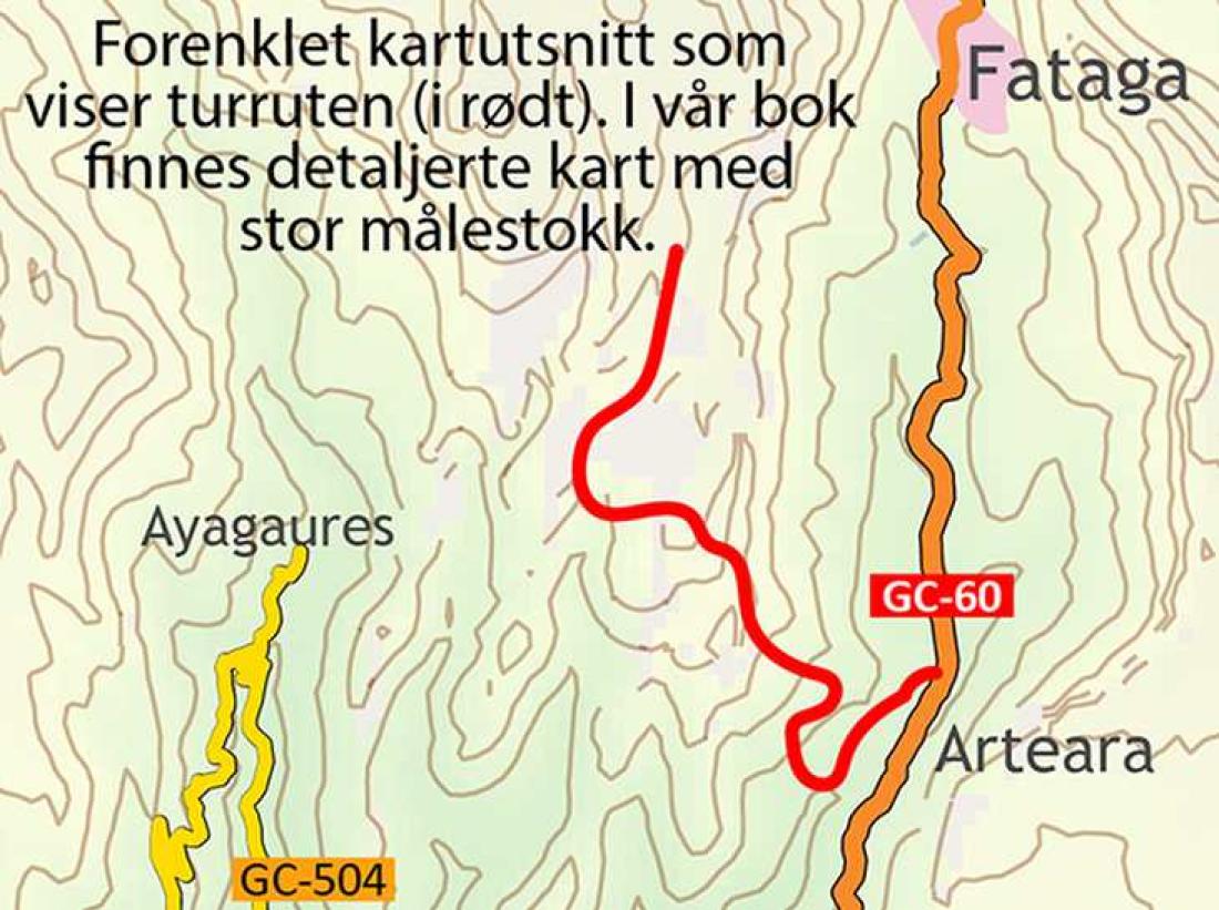 Fottur fra Fataga til Alto de las Mesitas