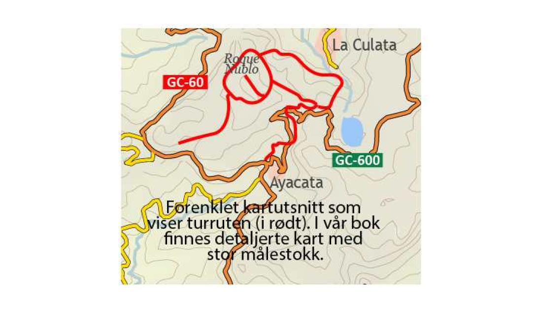 Fottur til Roque Nublo