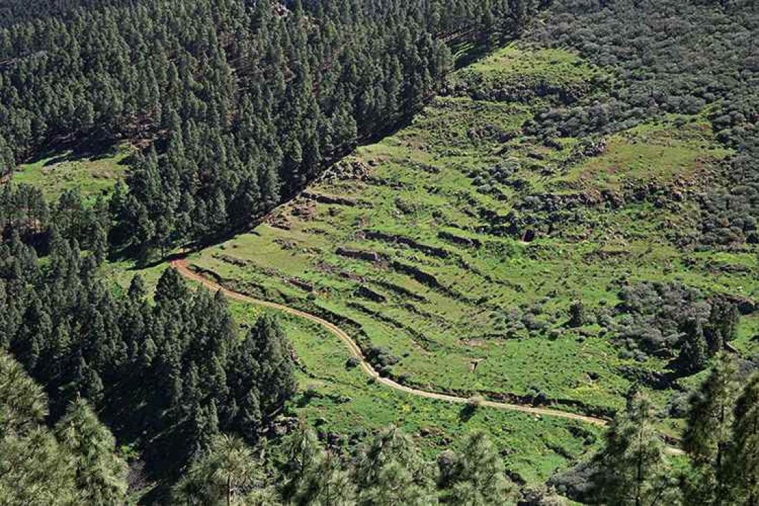 Fottur til Caldera de los Marteles