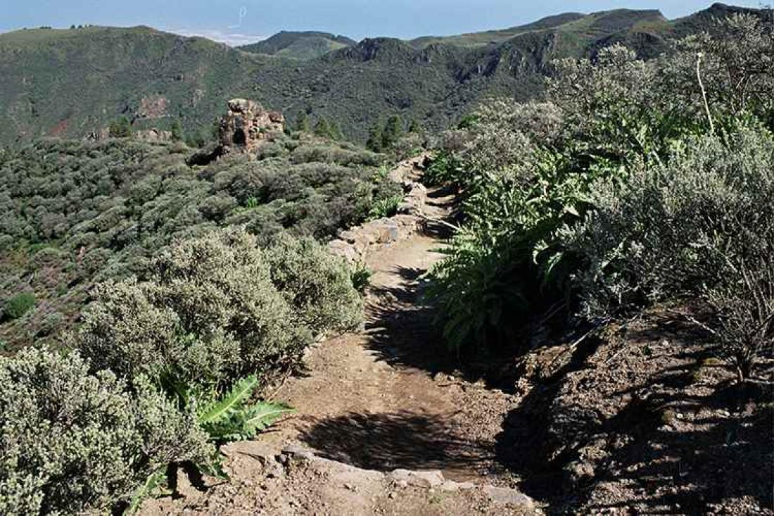 Fottur til Caldera de los Marteles