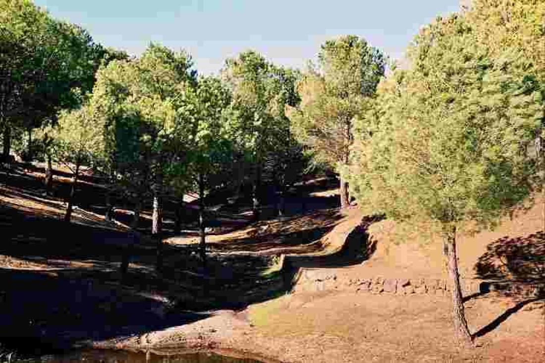 Nær Corral de Los Juncos