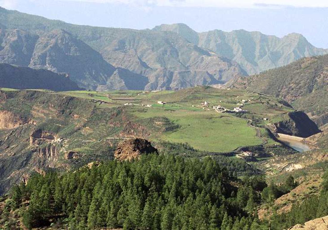 Vega de Acusa, Gran Canaria
